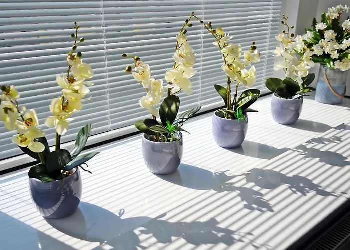 아파트 Luna 코워브제크